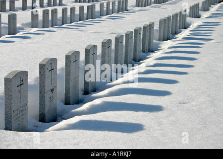 Rangée sur rangée dans la neige Banque D'Images