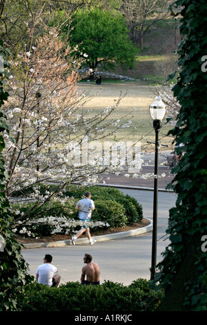 Printemps dans le parc : les personnes bénéficiant de la fin de la journée dans le parc, le soleil se couche les arbres en fleurs sont hors Banque D'Images