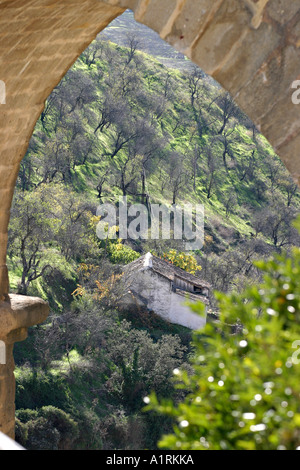 Une petite maison blanchie à la chaux situé dans une oliveraie encadré par l'arc du célèbre pont neuf 1793 à Ronda Banque D'Images