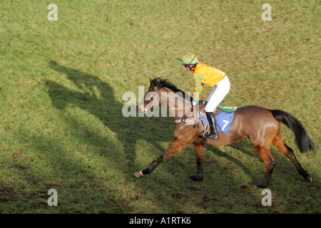 Horse and Jockey à Ludlow Hippodrome, Shropshire Banque D'Images