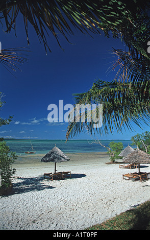 La plage tropicale en face de la Pole Pole Eco Lodge à Utende sur l'île de Mafia Tanzanie Banque D'Images