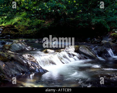 Cascade du Nant Gwernol Abergynolwyn ravin près de Gwynedd Banque D'Images