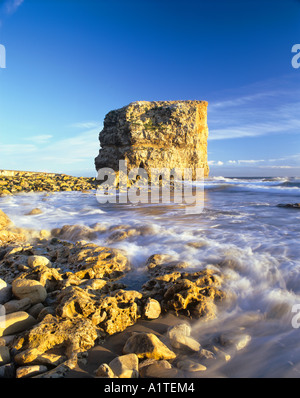 Marsden Rock est une véritable attraction touristique sur la côte du nord-est de l'Angleterre Banque D'Images