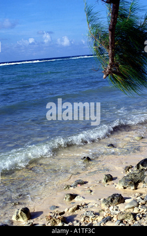 Plage et Mer Grand Cayman Banque D'Images