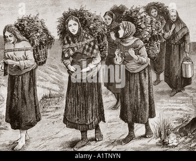 Les Hebrides, Écosse, C.C., Retour de la cabane ou du chieling utilisé par les gens qui s'occuper des animaux haut dans les collines. Banque D'Images