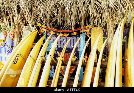 Des planches de surf, Manuel Antonio, Costa Rica Banque D'Images