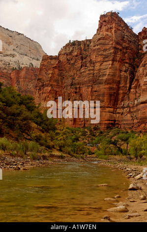 À Virgin River 'Big Bend' avec le bus-navette à distance à la base de la falaise du Zion National Park Utah USA Banque D'Images