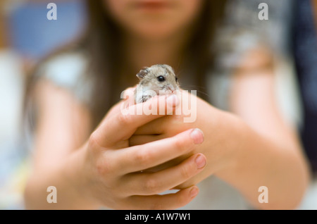 Neuf ans, fille, joue avec l'animal à la maison hamster hamster dans la chambre se penche sur camera Banque D'Images