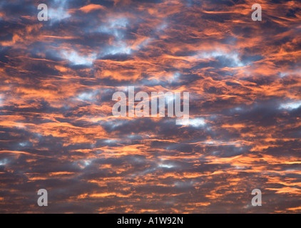 Lever du soleil Ciel rose, Angleterre Banque D'Images