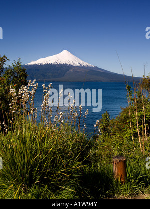 Volcaono Osorno & le lac Llanquihue, Lakes District, Chili Banque D'Images