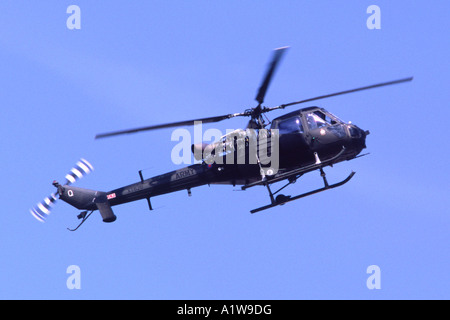 Scout Westland AH1 exploités par l'armée britannique de vol d'avions historiques Banque D'Images