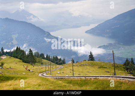 Mountain Train à crémaillère de Wilderswil, sur la route de Schynige Platte avec la Suisse de Thoune dans l'arrière-plan Banque D'Images