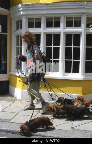 High Street Woman walking avec cinq chiens daschund en face de St Clements cottage Banque D'Images