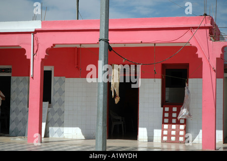 Sur le chemin en Tunisie, la peau de mouton ventes Banque D'Images