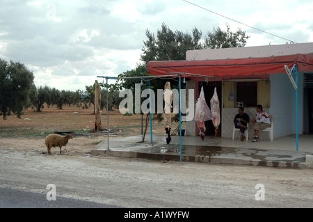 Sur le chemin en Tunisie, la peau de mouton ventes Banque D'Images