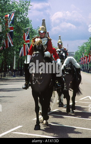 Dans le centre commercial Royal Horseguards Londres Banque D'Images