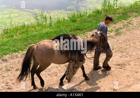 22 homme cheval menant en costume traditionnel de l'ancienne population slave. Pologne Biskupin Banque D'Images