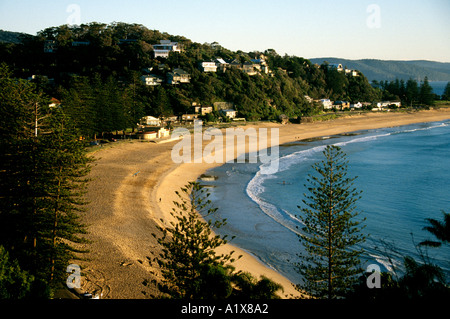 Palm beach sur les plages du nord de Sydney le matin Banque D'Images