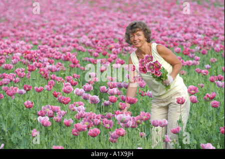 Dame dans le champ de coquelicots Banque D'Images