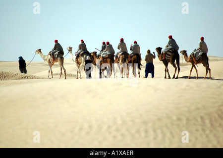 Visite guidée de chameaux dans l'oasis de Douz en Tunisie, Sahara Banque D'Images