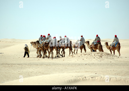 Visite guidée de chameaux dans l'oasis de Douz en Tunisie, Sahara Banque D'Images