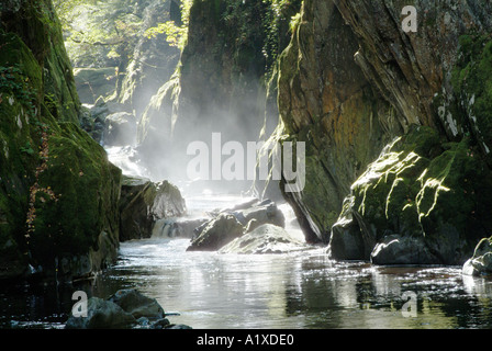 Conway de la rivière qui coule à travers une gorge connue sous le nom de Fairy Glen dans le Nord du Pays de Galles près de Betws y Coed Banque D'Images