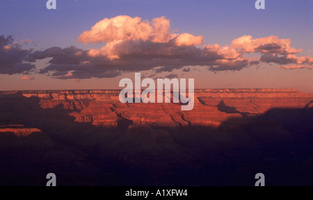 Nuages sur le Grand Canyon en hiver Banque D'Images