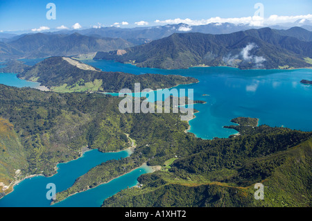 Cascade Bay (extrême gauche) et la baie de gui (à gauche), et Kenepuru Sound (haut), Marlborough Sounds, île du Sud, Nouvelle-Zélande - aer Banque D'Images