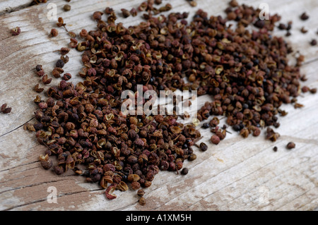 Poivre de Sichuan Zanthoxylum piperitum Szechuan Pfeffer Pfeffer Bluetenpfeffer Anispfeffer japanischer Fagara Banque D'Images