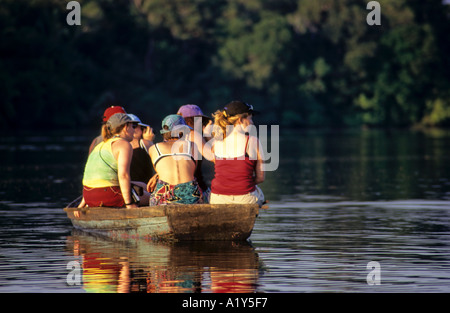 Regarder les dauphins roses d'Amazonie, Brésil Banque D'Images