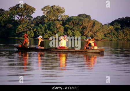 Regarder les dauphins roses d'Amazonie, Brésil Banque D'Images