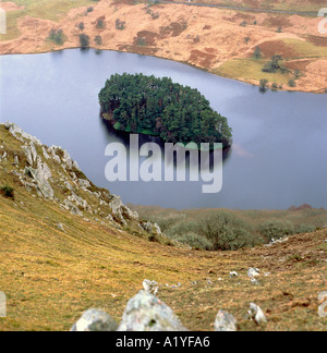 Île boisée au stylo y garreg Elan Valley réservoir Powys Pays de Galles UK Banque D'Images