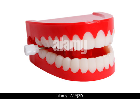 Dents de broutement Banque D'Images