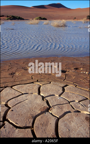 Le Parc National Namib Naukluft Sossusvlei Banque D'Images