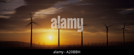 Éoliennes au coucher du soleil