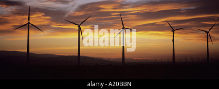 Éoliennes au coucher du soleil