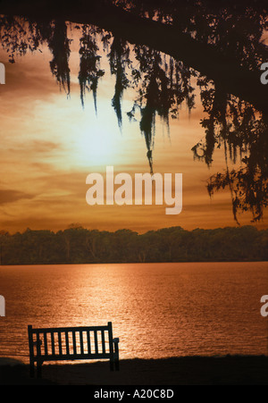 La lumière du soleil couchant en cuivre couleurs scène paisible avec banc à côté de l'eau dans des drapés dans l'arborescence de la mousse espagnole, en Louisiane, USA Banque D'Images