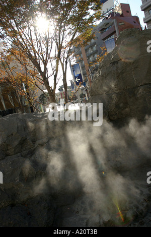 L'homme a fait rock garden avec de la vapeur à l'extérieur de l'hôtel Grand Hyatt situé dans le Roppongi Hills, Tokyo, Japon Banque D'Images