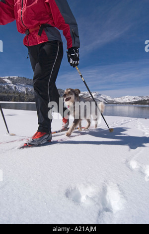 Une femme et son chien ski sur la rive du lac Donner en hiver près de Truckee Californie Banque D'Images