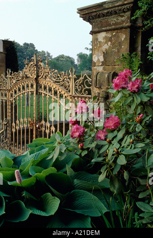 Hostas et rhododendron rose par mur en pierre et la porte de jardin en jardin grand pays Banque D'Images