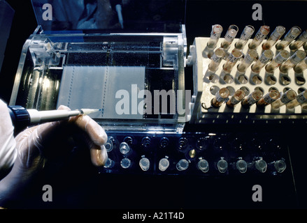 Laboratoire de recherche de l'ADN, Cambridge Banque D'Images