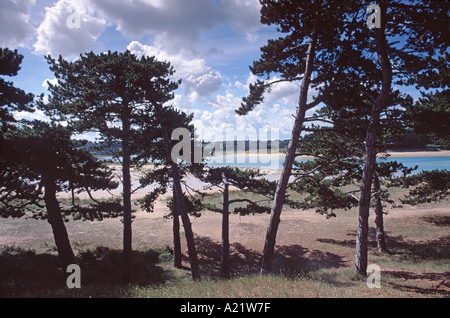 La plage à sable d'Or les Pins sur les Côtes d'Armor en bretagne nord, France Banque D'Images