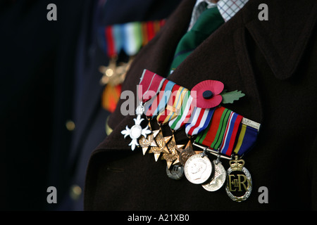 Médailles sur la poitrine d'anciens combattants de guerre. Banque D'Images