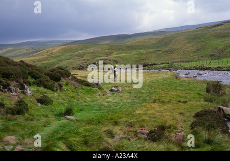 Walker sur le Pennine Way, fleuve Tees près de chaudron cascade museau, Upper Teesdale, County Durham, Angleterre Banque D'Images