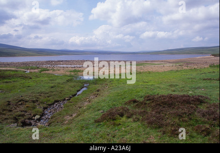 Réservoir vert vache Teesdale supérieure, County Durham, Angleterre Banque D'Images