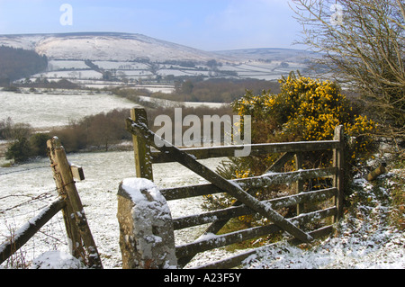 Champs couverts de neige et 5 bar à la porte du Parc National de Dartmoor à la haute lande Devon, Angleterre Banque D'Images