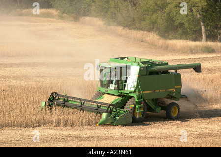 Moissonneuse-batteuse John Deere la récolte dans un champ de soya Banque D'Images