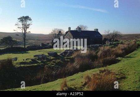 Maison solitaire avec un arbre en hiver dans le Dartmoor Devon, Angleterre Banque D'Images