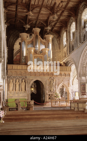 St David s Pembrokeshire Wales Cymru UK Ville Cathédrale Nef intérieure d'organes d'écran Banque D'Images