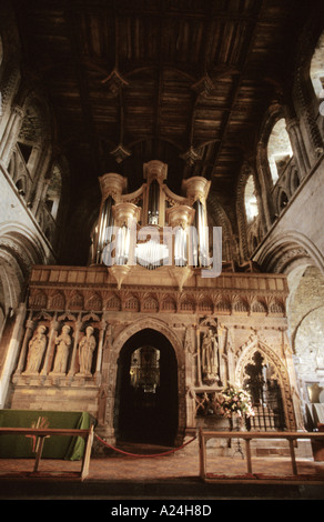 St David s Pembrokeshire Wales Cymru UK Ville Cathédrale Nef intérieure d'organes d'écran Banque D'Images